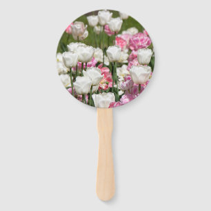 Bright white and pink tulips on a sunny day hand fan