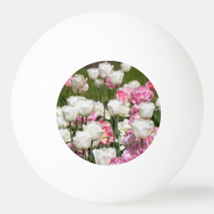 Bright white and pink tulips on a sunny day ping pong ball