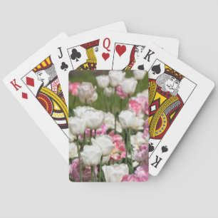 Bright white and pink tulips on a sunny day    playing cards