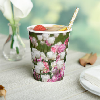 Bright white and pink tulips on a sunny paper cups