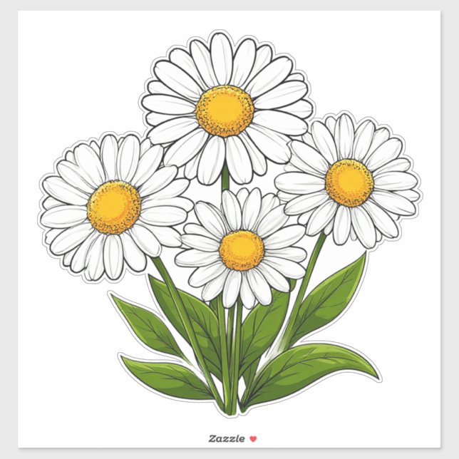 Bright White Daisies Bouquet With Yellow Centres (Sheet)