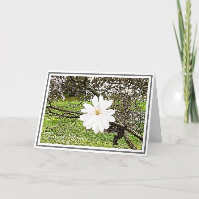 Bright White Star Magnolia Against Foliage Card (Front)