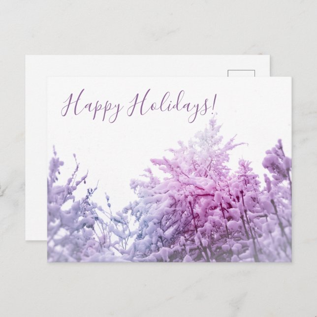 Bright Winter day Pink tinted Snowy trees Holiday Postcard (Front/Back)