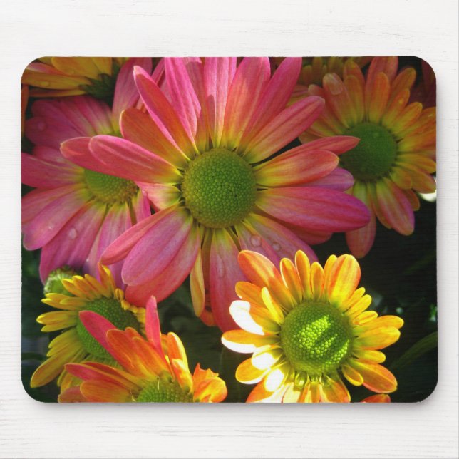Bright Yellow and Pink Mums in Rain Mouse Pad (Front)