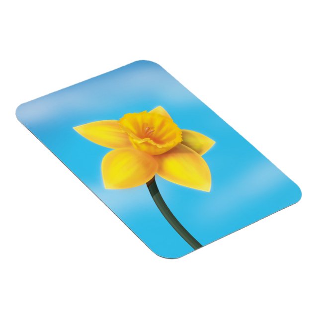Bright Yellow Daffodil Magnet (Right Side)