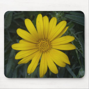 bright yellow flower mouse mat