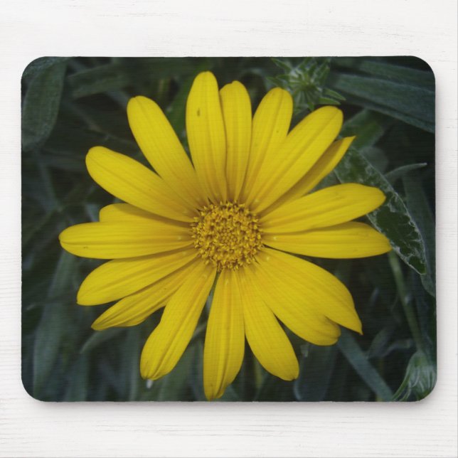 bright yellow flower mouse mat (Front)