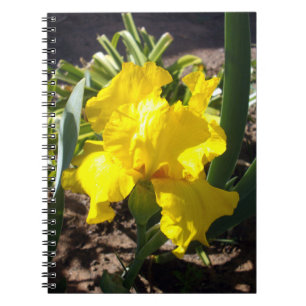 Bright Yellow Iris Flower, Notebook