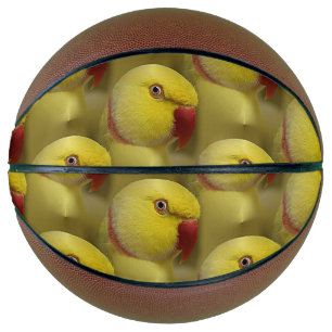 Bright Yellow Lutino Indian Ringneck Parrot Basketball