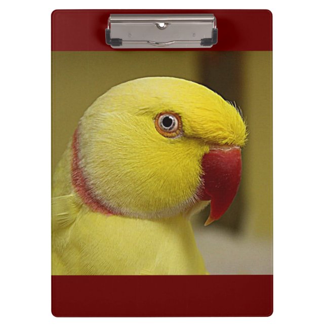 Bright Yellow Lutino Indian Ringneck Parrot Clipboard (Front)
