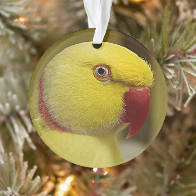Bright Yellow Lutino Indian Ringneck Parrot Ornament (Tree)