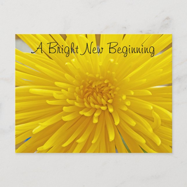 Bright Yellow Spiky Dahlia Photo Thinking Of You Postcard (Front)