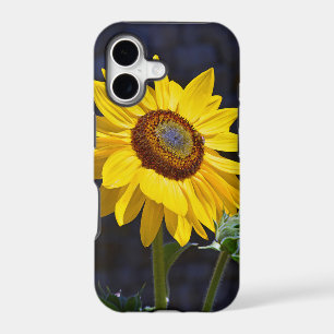 Bright yellow sunflower