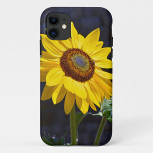 Bright yellow sunflower iPhone 11 case