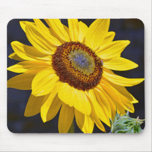 Bright yellow sunflower mouse mat