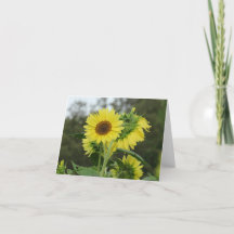 Bright Yellow Sunflower Note Card