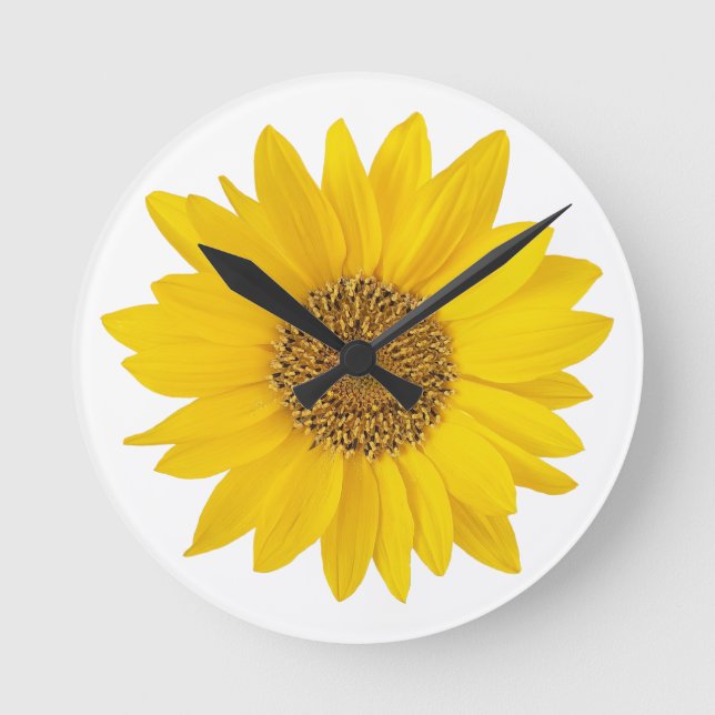 Bright Yellow Sunflower on White Background Round Clock (Front)