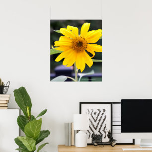 Bright Yellow Sunflower Poster