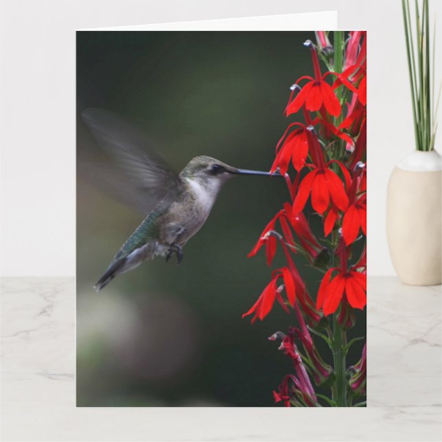 Brighten someone's day with this lovely card!! card (Front)