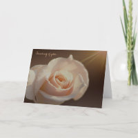 Brighten The Day Cards