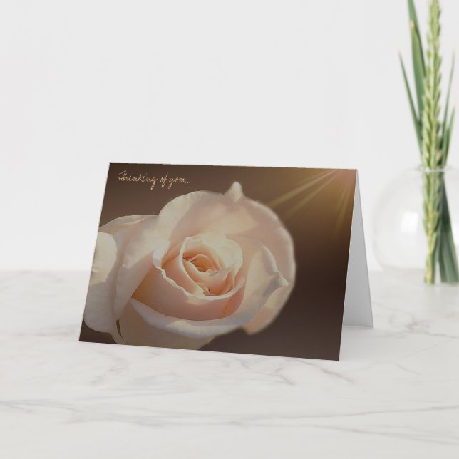 Brighten The Day Cards (Front)