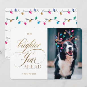 Brighter Year Ahead Fun Pet Photo Reindeer Lights Holiday Card