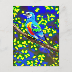 Brightly Coloured Bird Postcard