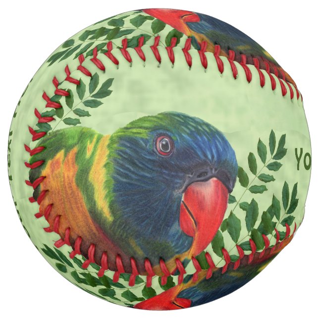Brightly Coloured Macaw Parrot Red Beak Leaves Softball (Front Left)