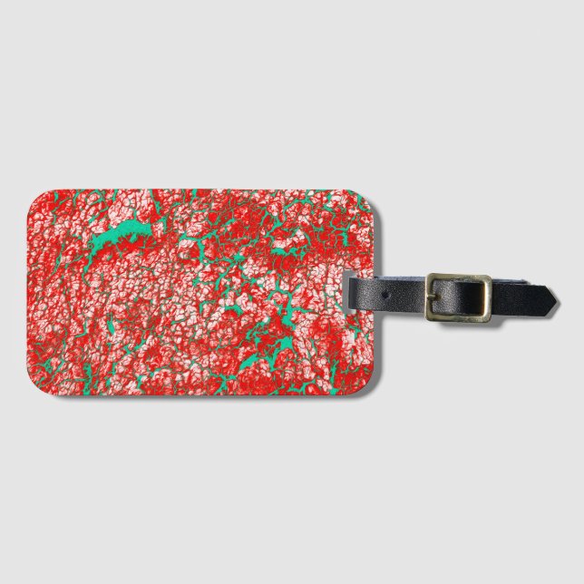 Brightly Coloured Unique Cool Luggage Tag (Front Horizontal)