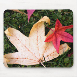 Brightly Colourful Maple Leaf Mouse Mat