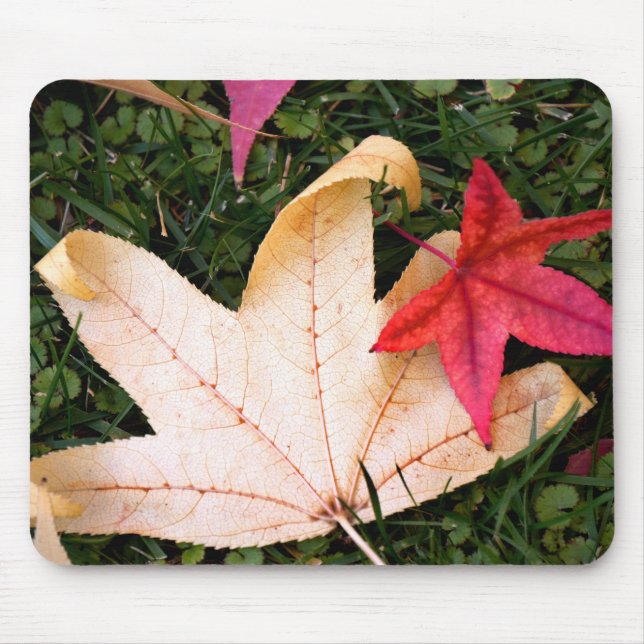 Brightly Colourful Maple Leaf Mouse Mat (Front)