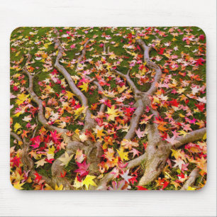 Brightly Colourful Maple Leaf Mouse Mat