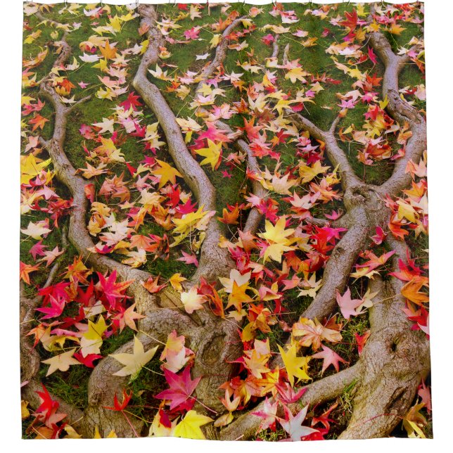 Brightly Colourful Maple Leaf Shower Curtain (Front)