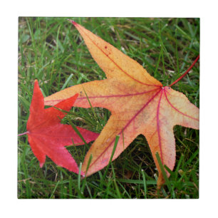 Brightly Colourful Maple Leaf Tile