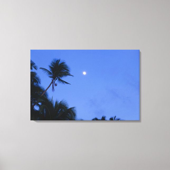 Brightly lit moon, silhouette of coconut trees canvas print (Front)
