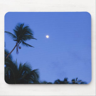 Brightly lit moon, silhouette of coconut trees mouse mat