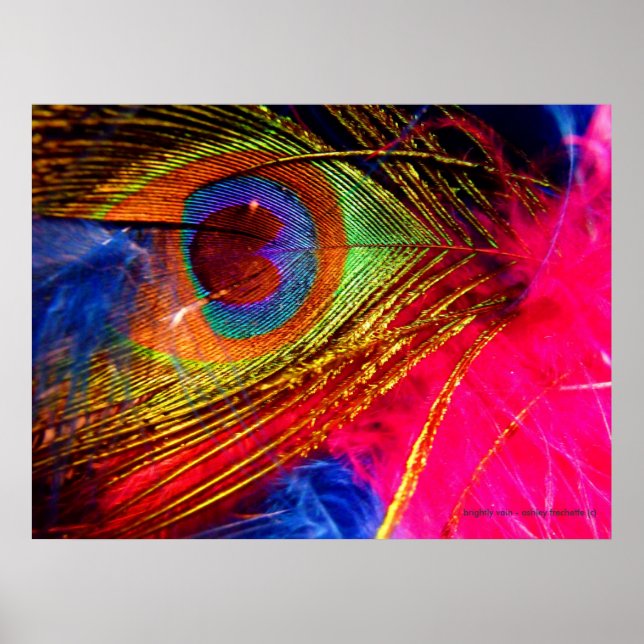 Brightly Vain Poster (Front)