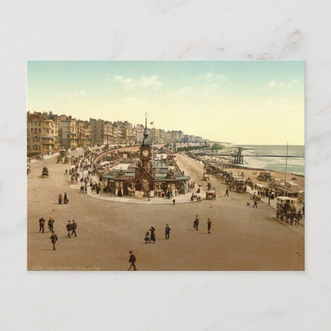 Brighton - Aquarium, England Postcard (Front)