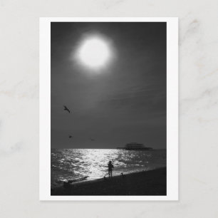 Brighton Beach England Postcard