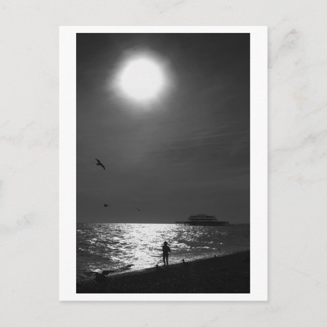 Brighton Beach England Postcard (Front)