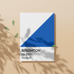 Brighton Seagull Blue and White - Full Width Poster