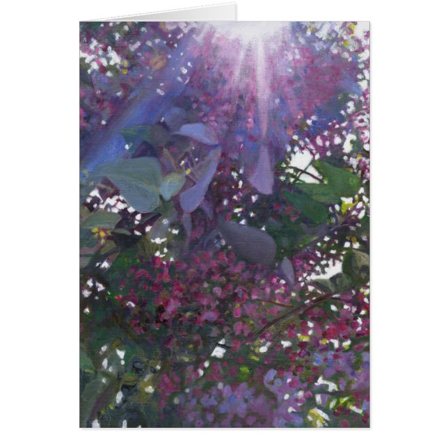 Brilliance 2014 (Front)