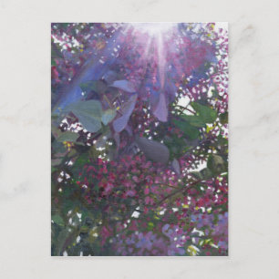 Brilliance 2014 postcard