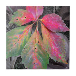 Brilliance Among the Grey - Autumn Leaf Tile