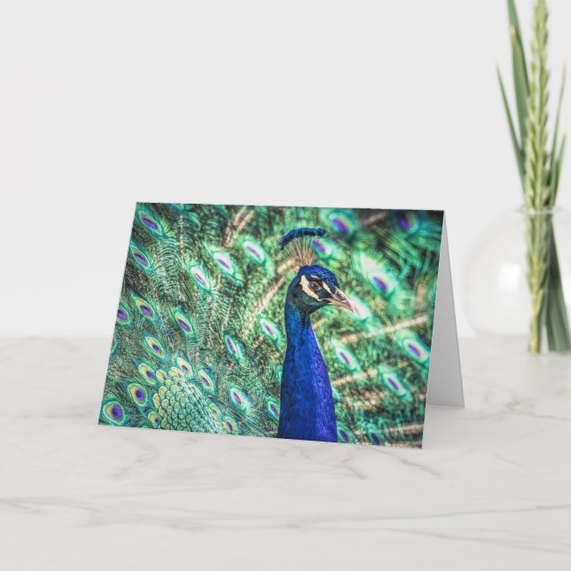 Brilliance in Blue & Green Peacock Greeting Card (Front)