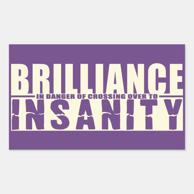BRILLIANCE VS INSANITY custom stickers (Front)