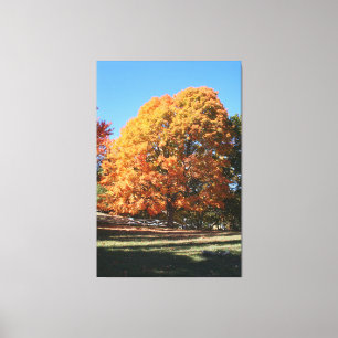 Brilliant Autumn Tree – Hubbell, Michigan Canvas Print