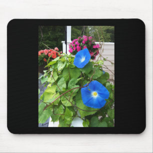 Brilliant Blue Morning Glories Mouse Mat