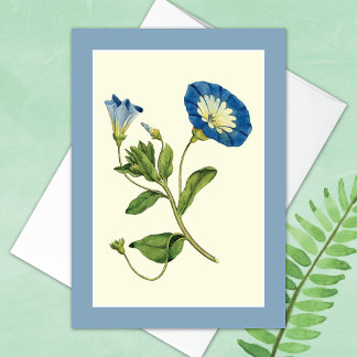 Brilliant Blue Morning Glory Vine Blank Card