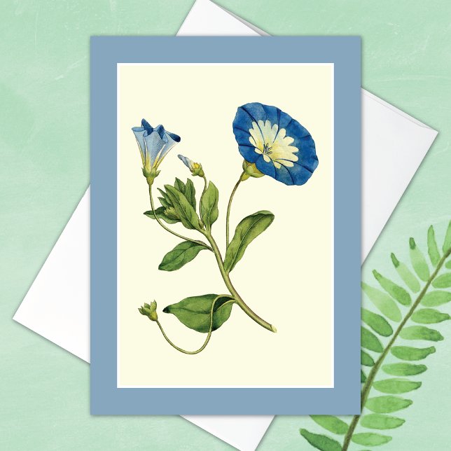 Brilliant Blue Morning Glory Vine Blank Card (Creator Uploaded)